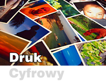 Druk cyfrowy